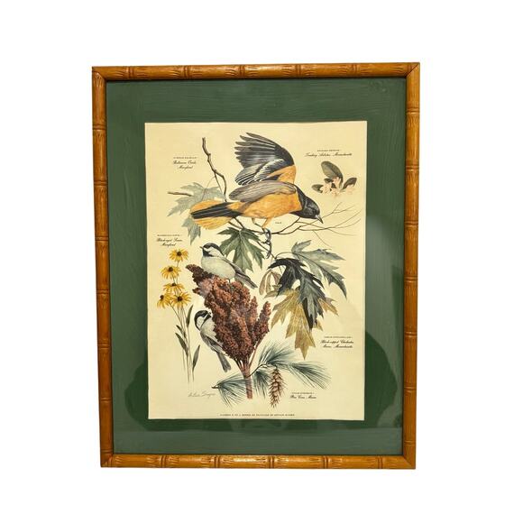 Vintage Arthur Singer framed art print #8 illustration Chikadee birds & flowers - Picture 1 of 10